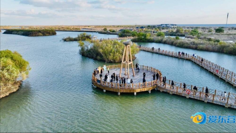 至关重要 至关重要